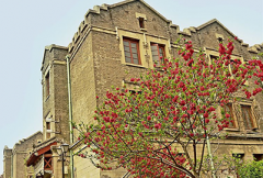 河南大学教育科学学院地址在哪里