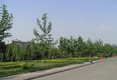 河北师范大学2019学费是多少钱及收费标准