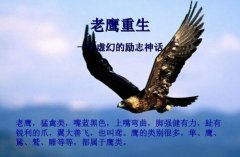 2023年黑龙江读农村医学专业的中专学校有哪些？