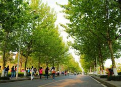福建考不上高中上什么学校好