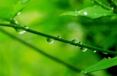 潍坊排名靠前的公办技工学校