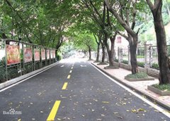 黑龙江排名前五的口腔学校名单