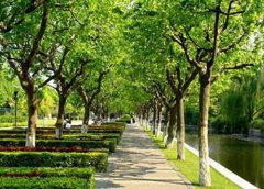 福建中专中职学校排名榜（2023年最新）