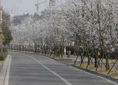 兰州电子工业学校2023年学费多少钱