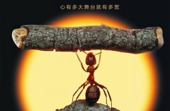 枣庄卫生学校2023年分数线是多少