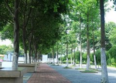 青岛平度机电工程学校2023年招生条件