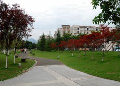 济宁市高级职业学校2023年录取分数线