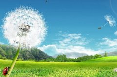 东营胜利海运学校2023年收费标准