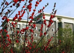 南京新领航职业学校2023年招生简章