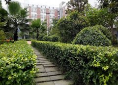 北京什刹海体育运动学校2023年招生计划