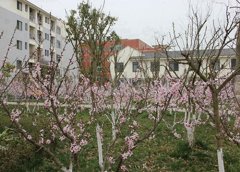 自贡广播电视大学2023年招生条件
