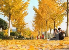 甘肃商业学校2023年学费多少