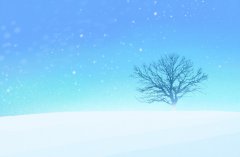 高中与中专的学历一样吗 中专毕业可以考什么证书