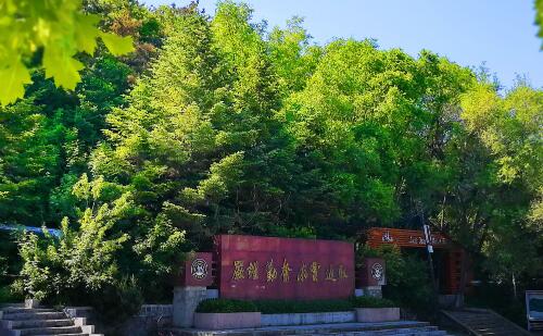 吉林化工学院2020年录取分数线