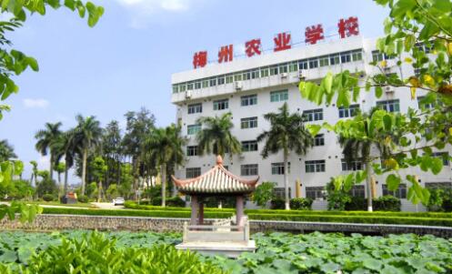 梅州农业学校2020年录取分数线