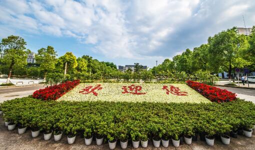 重庆城市管理职业学院2020年录取分数线