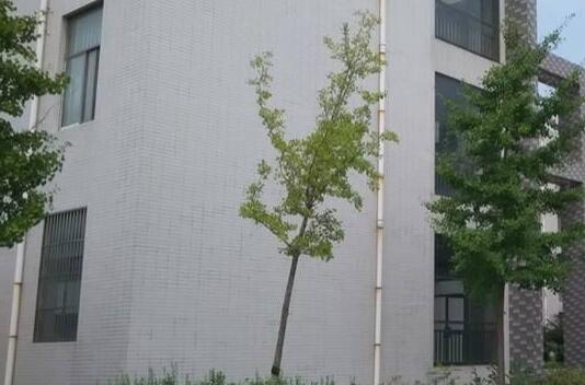 枣庄科技职业学院录取分数线 