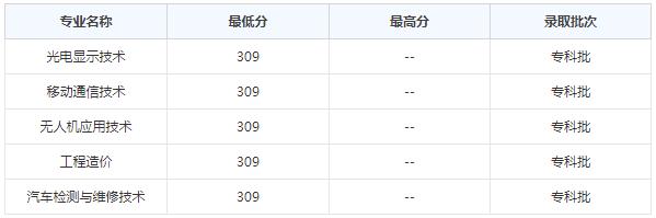 重庆电子工程职业学院2020年录取分数线