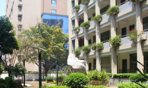 2020年厦门信息学校录取分数线