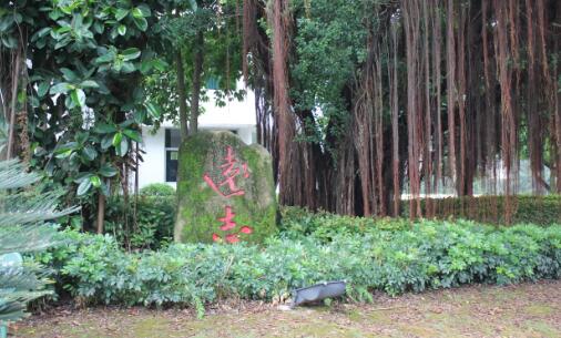 闽东卫生学校2020年录取分数线