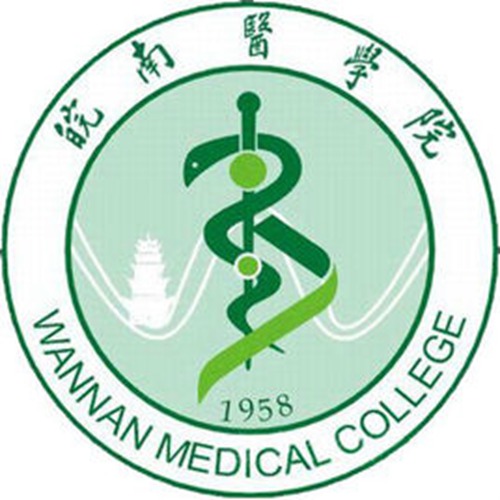 皖南医学院是双一流大学吗？