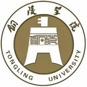 铜陵学院是双一流大学吗？