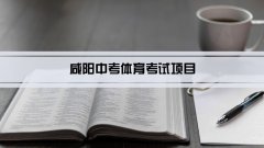 2023年咸阳中考体育考试项目总分和评分标准规定