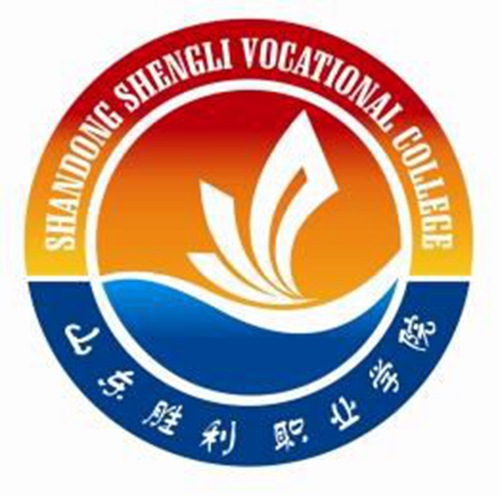 山东胜利职业学院学校代码是多少（13316）