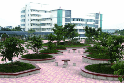 四川幼师学校2020年招生简章