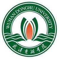 武汉东湖学院是双一流大学吗？