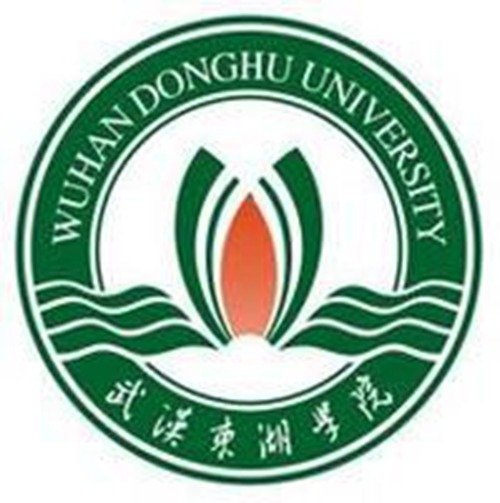 武汉东湖学院学校代码是多少（11798）