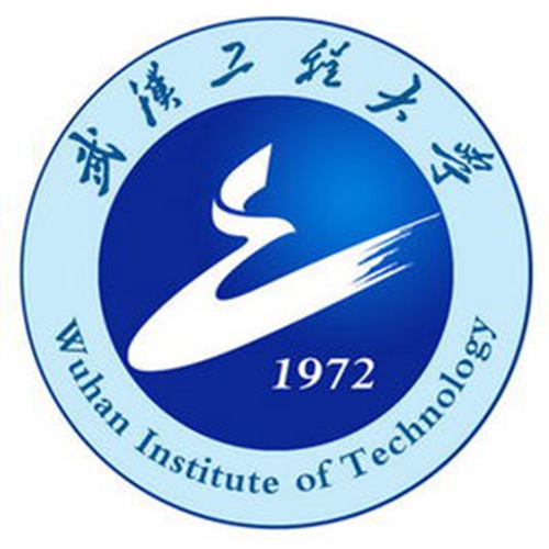 2023年武汉工程大学艺术类招生简章