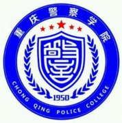 重庆警察学院是211大学吗？
