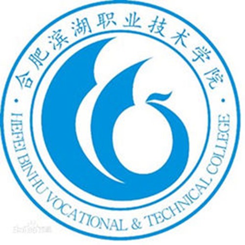 民办合肥滨湖职业技术学院是公办还是民办大学? 民办合肥滨湖职业技术学院是公办还是民办大学?