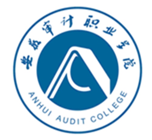 安徽审计职业学院是公办还是民办大学? 安徽审计职业学院是公办还是民办大学?