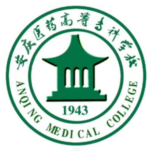 安庆医药高等专科学校是双高计划院校吗？