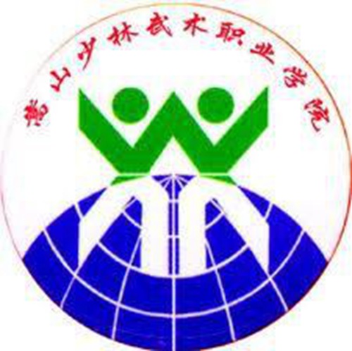 嵩山少林武术职业学院是公办还是民办大学? 嵩山少林武术职业学院是公办还是民办大学?