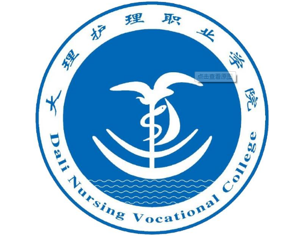 大理护理职业学院是大专吗，是大专还是中专？