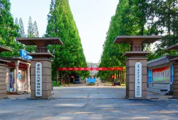 2020青岛农业大学海都学院艺术类专业招生章程