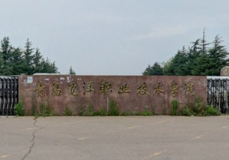 青岛飞洋职业技术学院怎么样_好不好 青岛飞洋职业技术学院怎么样_好不好