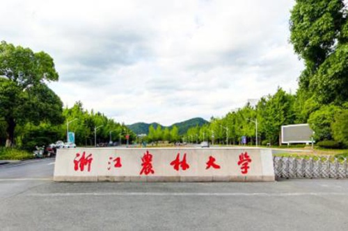 浙江农林大学学校代码是多少（10341）