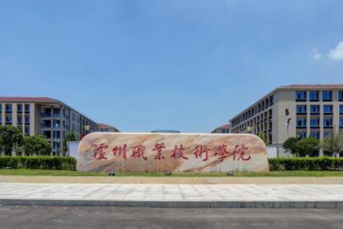 泸州职业技术学院是双高计划院校吗？