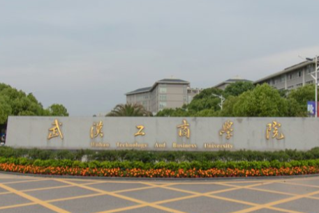 2020武汉工商学院艺术类校考招生简章（调整版）