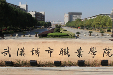 武汉城市职业学院是公办还是民办大学? 武汉城市职业学院是公办还是民办大学?