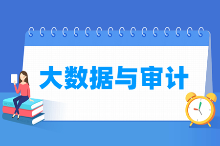 大数据与审计专业主要学什么-专业课程有哪些
