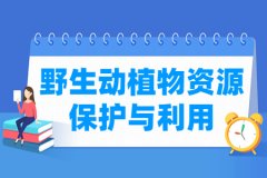 野生动植物资源保护与利用专业怎么样_就业方向_主要学什么
