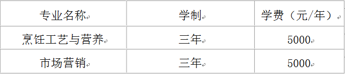 2023年江汉艺术职业学院单招简章