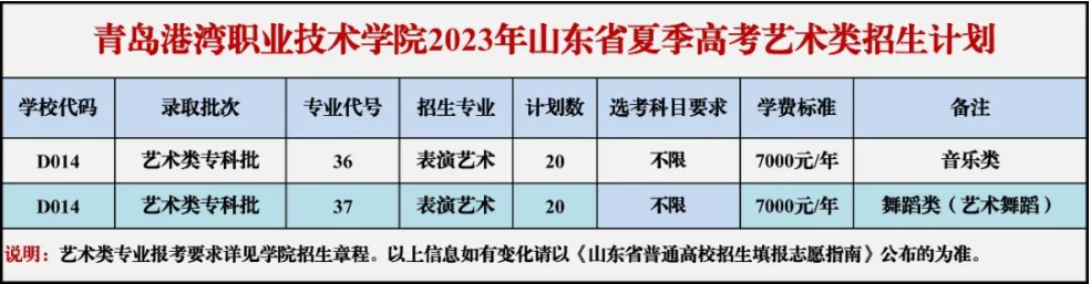 青岛港湾职业技术学院艺术类专业有哪些？