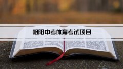 2023年朝阳中考体育考试项目总分和评分标准规定