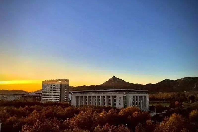 2020山东外事职业大学数字媒体艺术（本科）招生简章